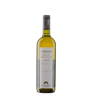 Verdicchio dei Castelli di Jesi Classico Superiore DOC Cipriani 2021 - Tenuta San Marcello