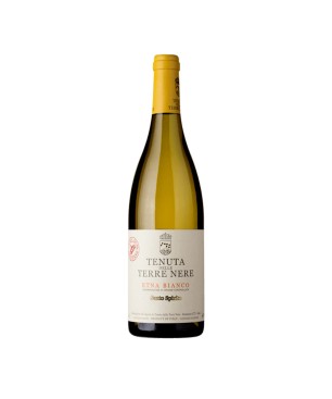 Etna Bianco DOC Santo Spirito 2021 - Tenuta delle Terre Nere