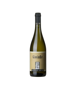 Giovin Re Viognier Toscana IGT 2021 - Michele Satta