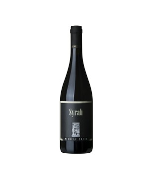 Syrah Toscana IGT 2020 - Michele Satta