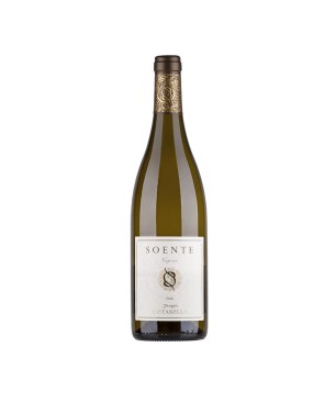 Viognier Lazio IGP Soente 2021 - Falesco Cotarella