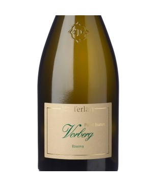 Pinot Bianco Riserva Alto Adige DOC Vorberg 2020 - Terlan