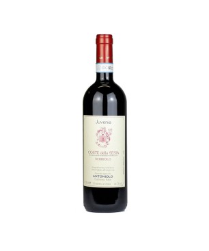 Nebbiolo Coste della Sesia DOC Juvenia 2019 - Antoniolo