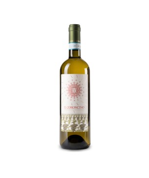 Verdicchio dei Castelli di Jesi DOC 2021 Il Coroncino - Fattoria Coroncino