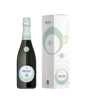 Franciacorta DOCG Saten '61 - Berlucchi [Astucciato]