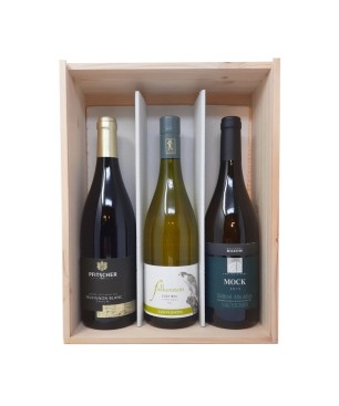 Sauvignon Alto Adige Trio Falkenstein, Cantina Bolzano, Pfitscher [3x bot. Cassetta di Legno]