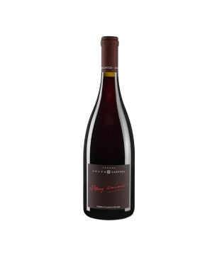 Rosso Garda Classico DOC Dunant 2018 - Podere Selva Capuzza