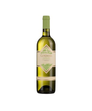 Vermentino Isola dei Nuraghi IGT Santigaini 2019 - Capichera