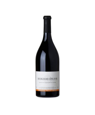 Bourgogne AOC Cote d'Or 2020 - Domaine Tollot Beaut