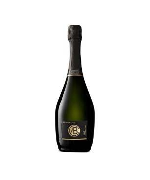 Champagne Brut Caractère Millésime 2009 - Anthony Betouzet