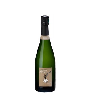 Champagne Brut Nature Millésime 2015 - Anthony Betouzet