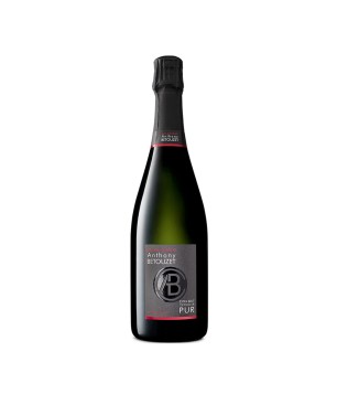 Champagne Extra Brut Pur Terroir - Anthony Betouzet