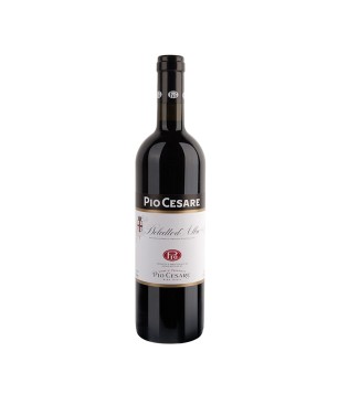 Dolcetto d'Alba DOC 2021 - Pio Cesare