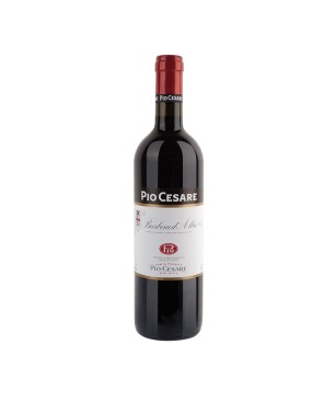 Barbera d'Alba DOC 2021 - Pio Cesare