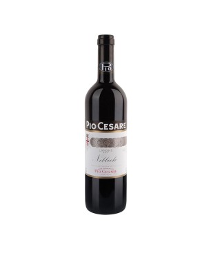 Nebbiolo Langhe DOC 2020 - Pio Cesare