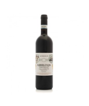 Barbera d'Alba DOC 2021 - Burlotto