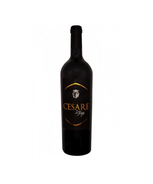 Rosso Toscana IGT Cesare 2015 - La Taragna