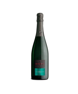 Prosecco Valdobbiadene Superiore DOCG Extra Dry - Bortolotti