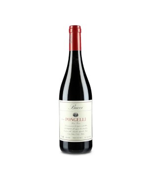 Rosso Piceno DOC Pongelli 2020 - Bucci