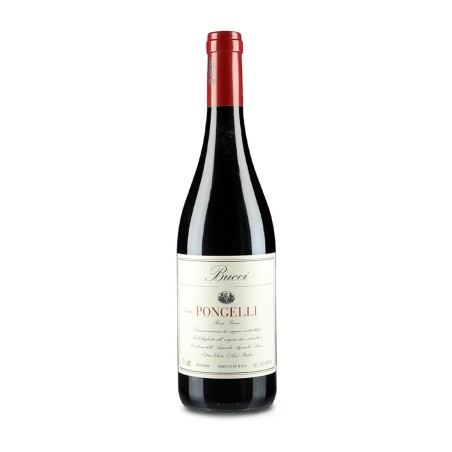 Rosso Piceno DOC Pongelli 2020 - Bucci