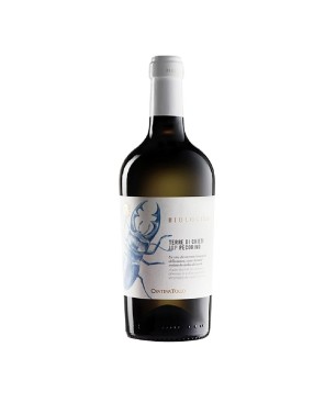 Pecorino Terre di Chieti IGT BIO 2022 - Cantina Tollo