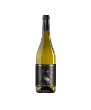 Sauvignon Marche IGT 2022 Animale Celeste - Santa Barbara