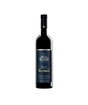 Barolo Bricco Ambrogio DOCG 2019 - Paolo Scavino