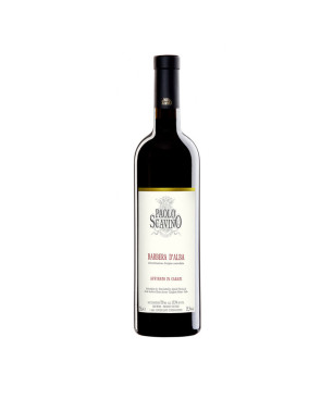 Barbera d'Alba DOC 2021 - Paolo Scavino