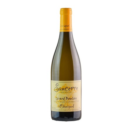 Sancerre Blanc 2021 - Domaine Gerard Boulay