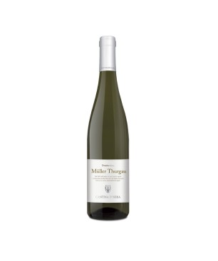 Müller Thurgau Trentino DOC 2022 - Cantina D'Isera