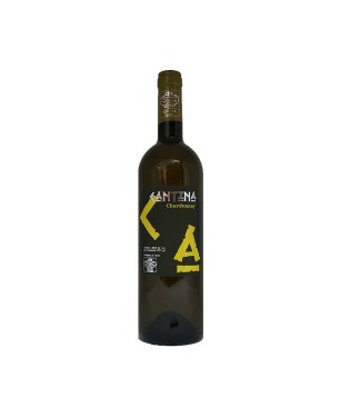 Chardonnay Mevushal Lazio IGT Cantina 2022 - Cantina Sant'Andrea