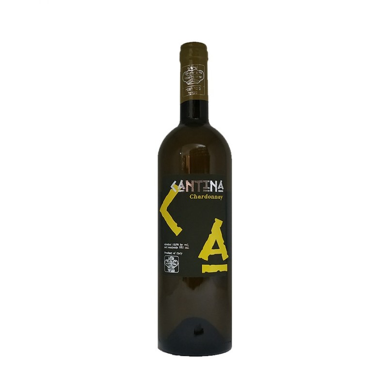 Chardonnay Mevushal Lazio IGT Cantina 2022 - Cantina Sant'Andrea