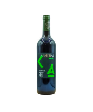 Merlot Mevushal Lazio IGT Cantina 2021 - Cantina Sant'Andrea