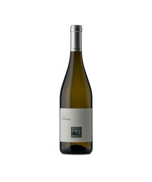 Friulano Collio DOC 2022 - Pighin