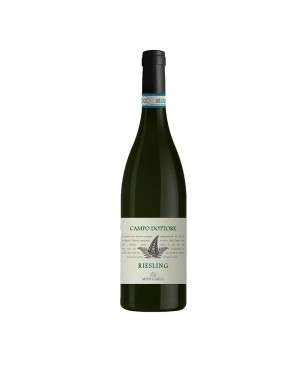 Riesling Renano Oltrepò Pavese DOC Campo Dottore 2022 - Calatroni