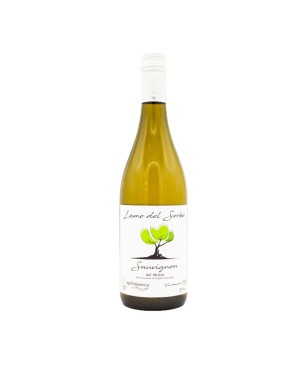 Sauvignon del Molise DOC Lame del Sorbo 2019 - Vinica