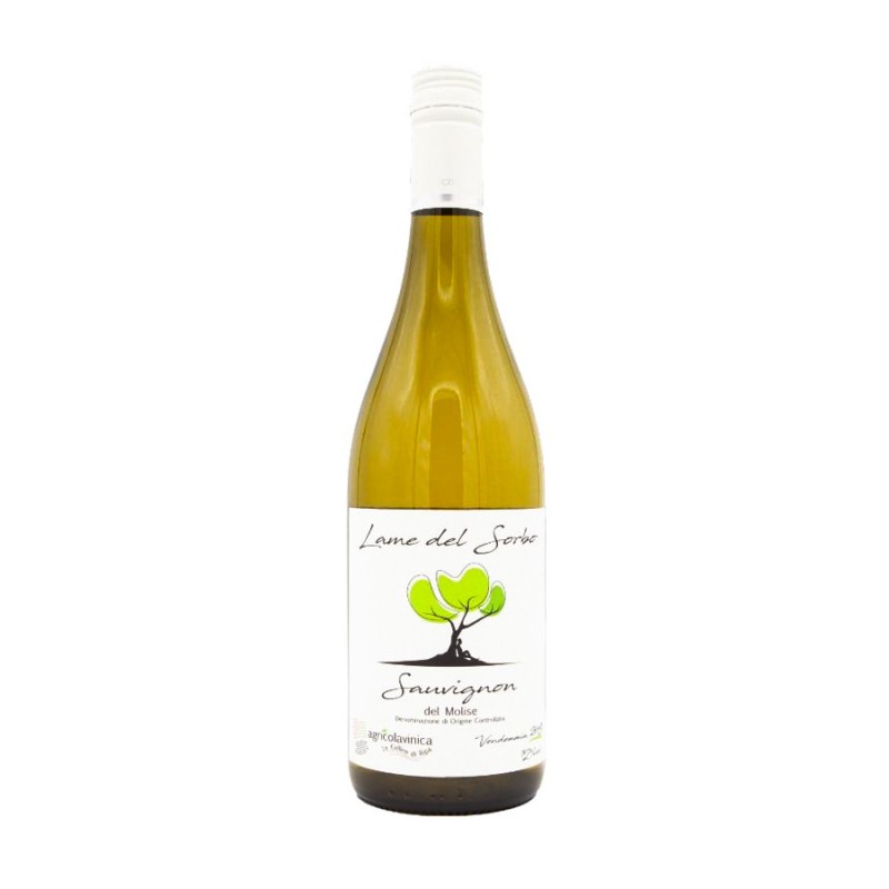 Sauvignon del Molise DOC Lame del Sorbo 2019 - Vinica