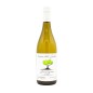 Sauvignon del Molise DOC Lame del Sorbo 2019 - Vinica