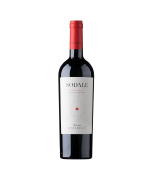 Merlot Lazio IGP Sodale 2020 - Falesco Cotarella