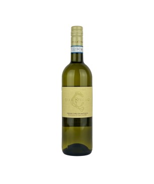 Verdicchio di Matelica DOC 2022 - Collestefano