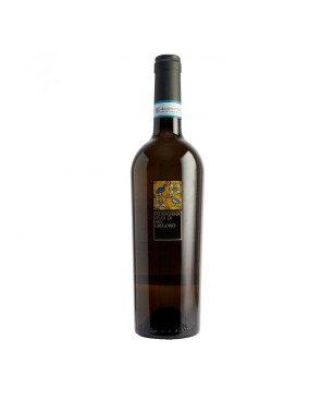 Falanghina del Sannio DOC 2022 - Feudi di San Gregorio