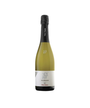 Prosecco Superiore Valdobbiadene DOCG BIO Brut - Nino Franco