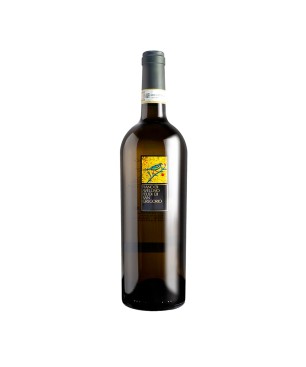 Fiano di Avellino DOCG 2022 - Feudi di San Gregorio