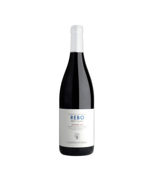 Rosso Trentino DOC Rebo Selezione 1907 2020 - Cantina d'Isera