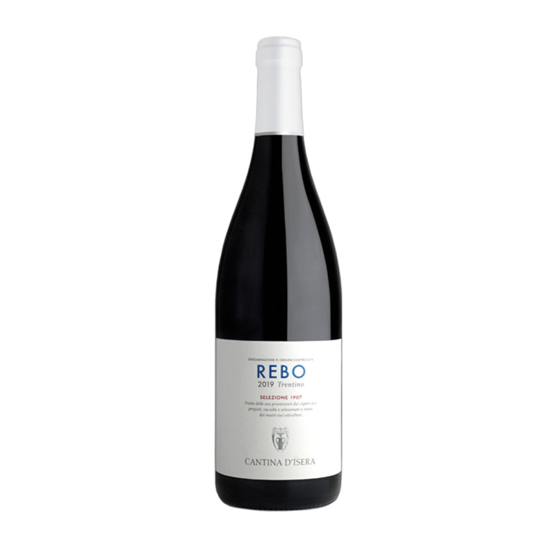 Rosso Trentino DOC Rebo Selezione 1907 2020 - Cantina d'Isera