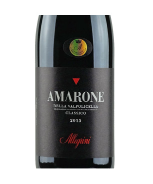 Amarone della Valpolicella Classico DOCG 2019 - Allegrini