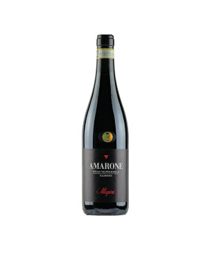 Amarone della Valpolicella Classico DOCG 2019 - Allegrini