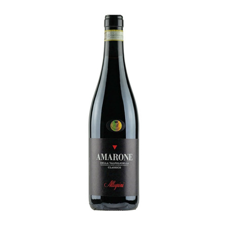 Amarone della Valpolicella Classico DOCG 2019 - Allegrini