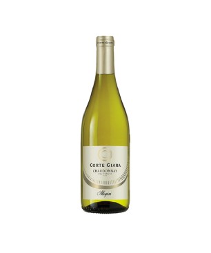 Chardonnay Veneto IGT Corte Giara 2022 - Allegrini