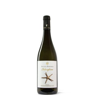 Falanghina Puglia IGT 2022 - Antica Enotria